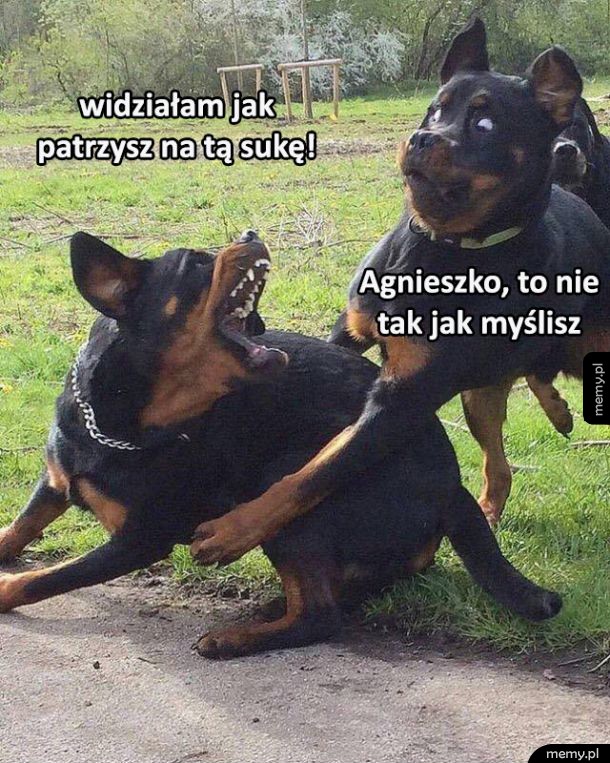 Ale Aga