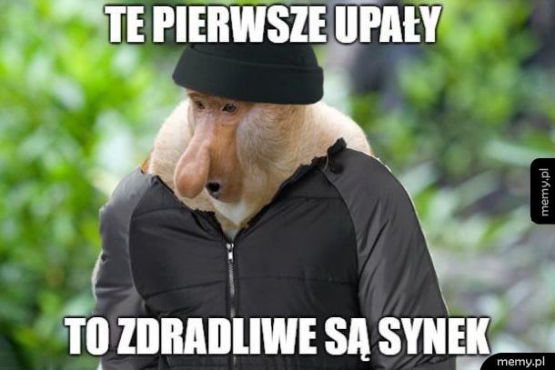 Załóż czapkie