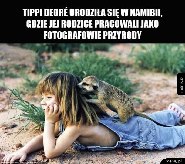 Przyroda