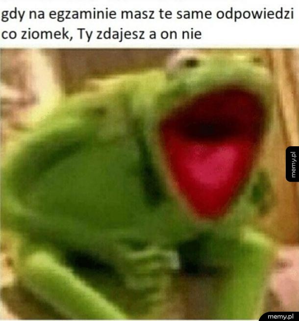 Wtopa