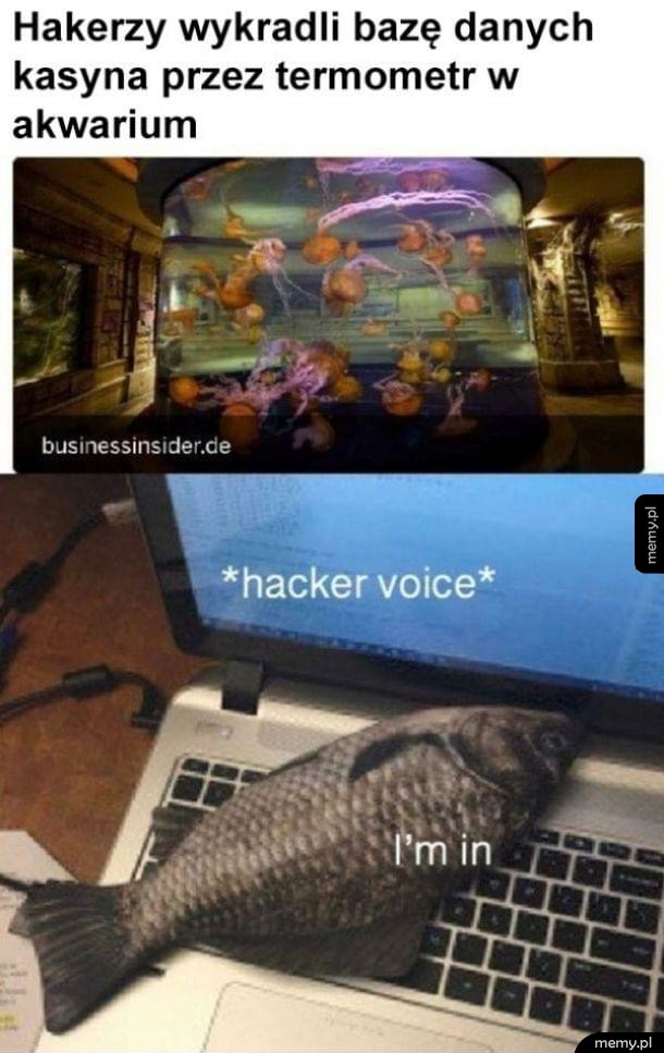 Hakiery