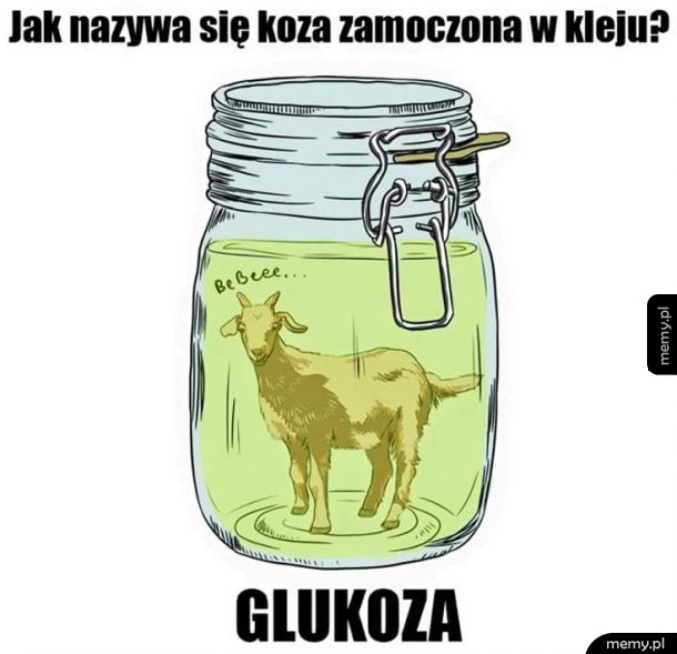 Zagadka