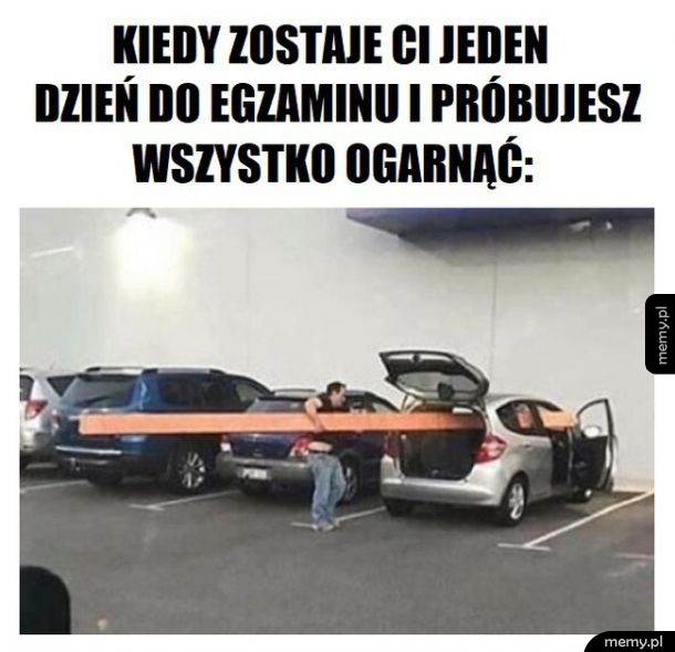 Egzamin