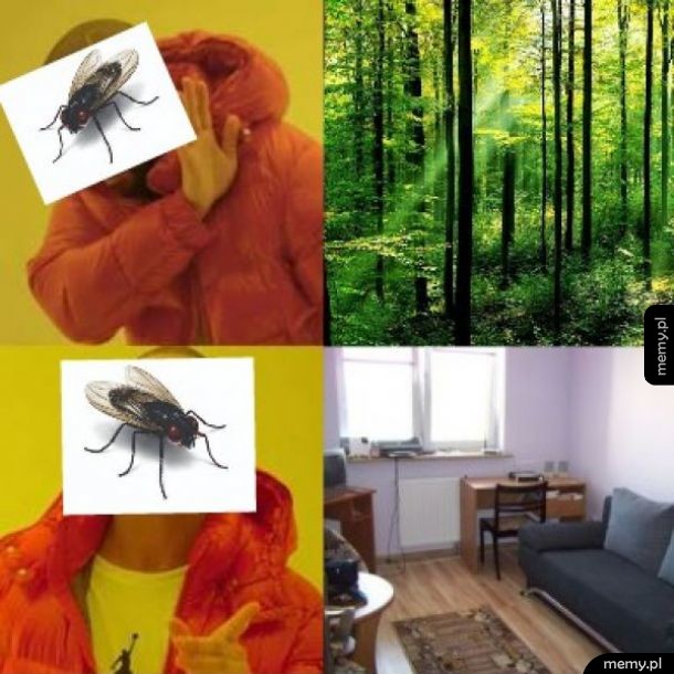 Wredne stworzenie
