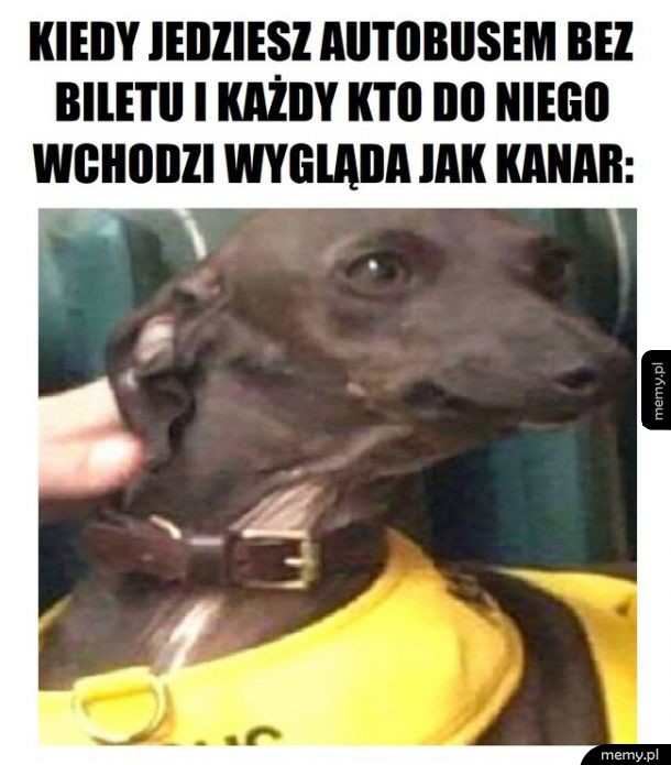 Stresik