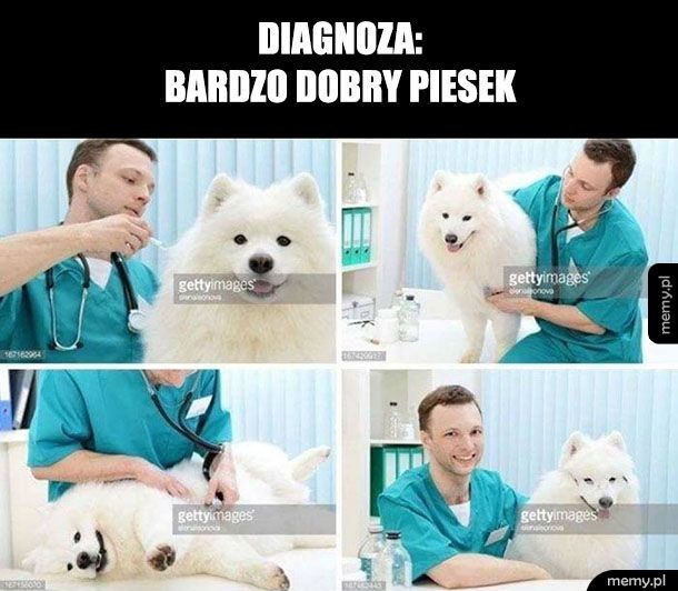 Diagnoza
