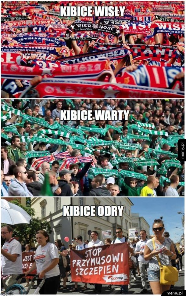 Kibice odry