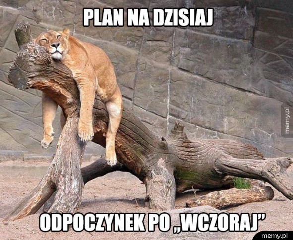 Plan dzisiaj