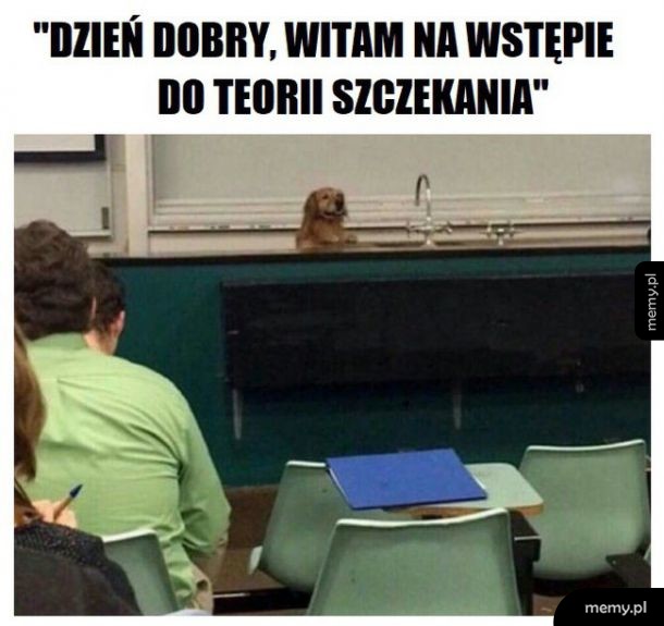 Dziwny profesor