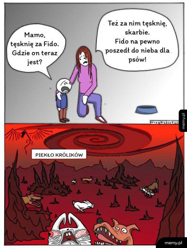 Niebo dla psa