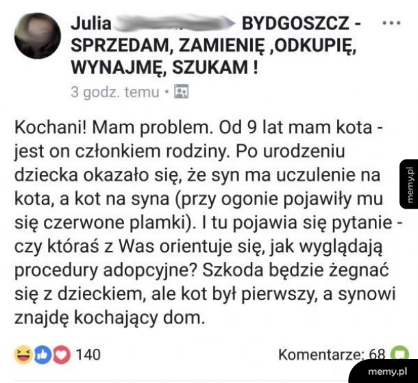 Mam kota