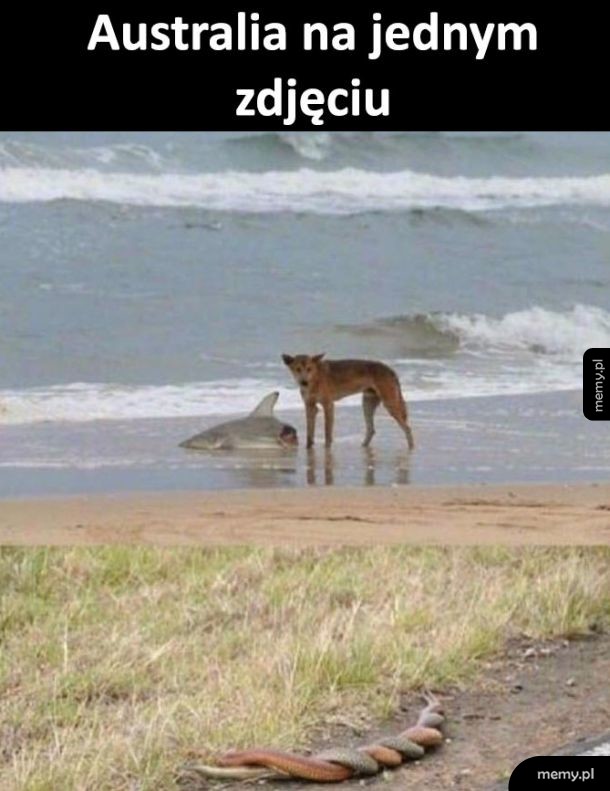 Australia