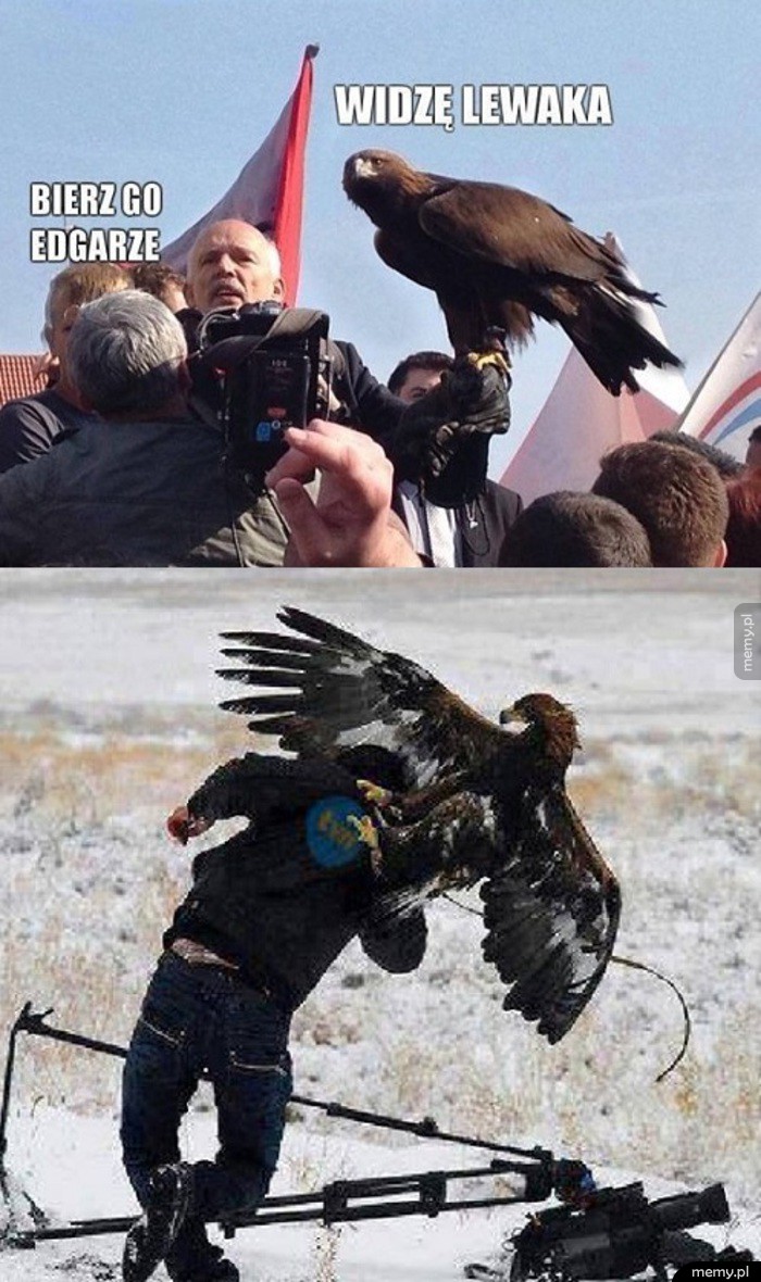 Widzę lewaka