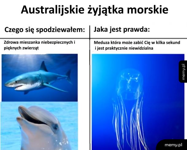 Australijskie żyjątka
