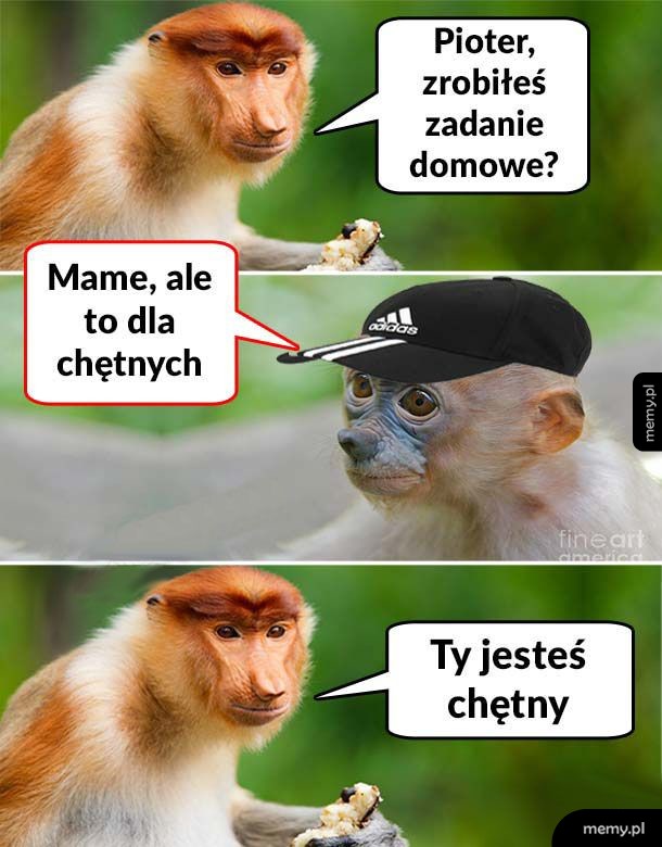 Zadanie domowe