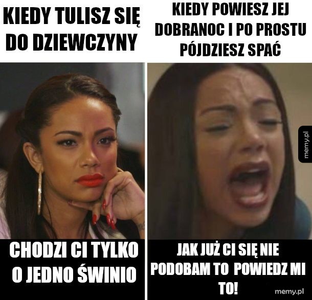 Logika lasek