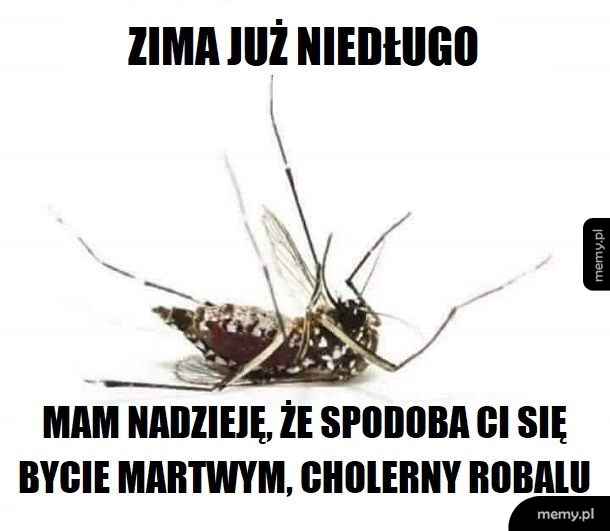 Żegnaj (nareszcie)