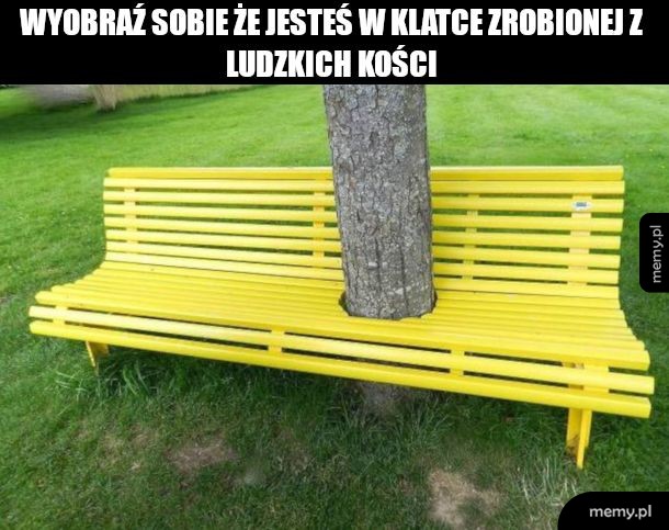 Kiedy lubisz drzewa