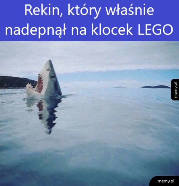 Ludzka reakcja