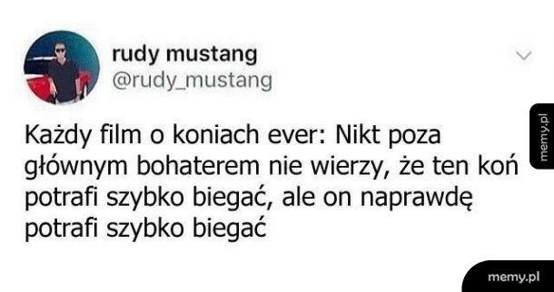 Każdy film o koniach