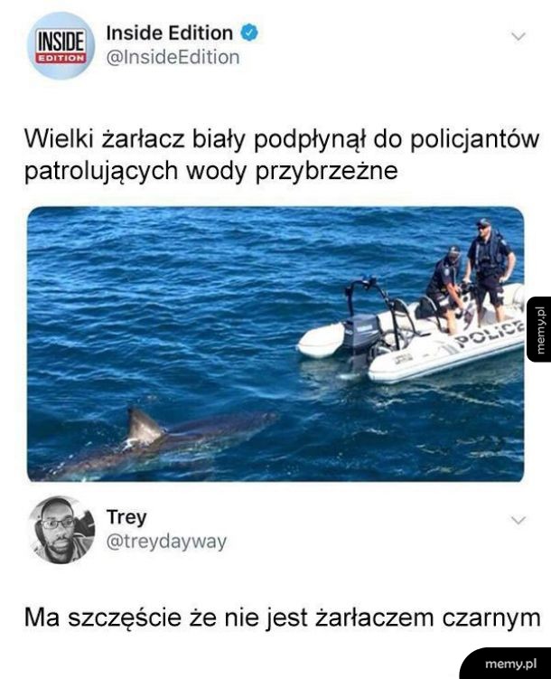 Żarłacz biały