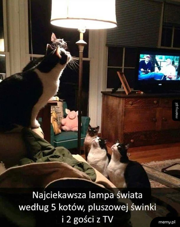 Ciekawe, co w niej takiego interesującego...