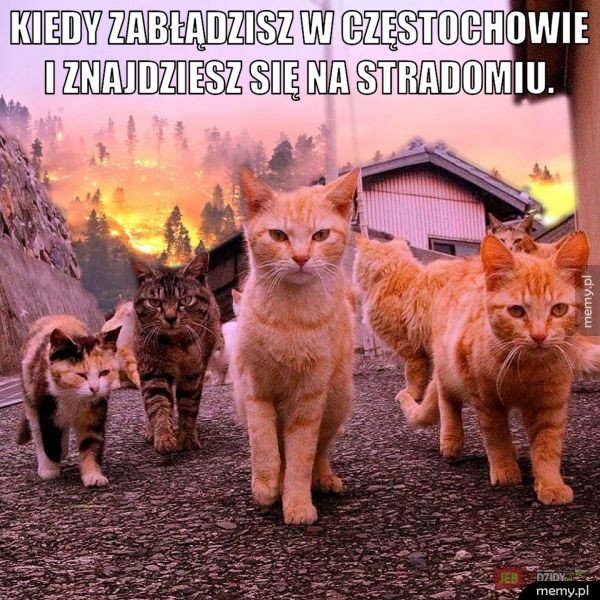 Kiedy zabłądzisz w Częstochowie i znajdziesz się na Stradomiu.