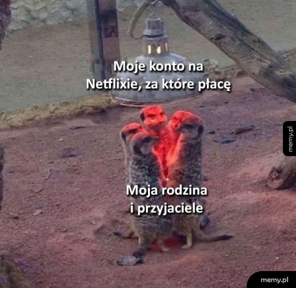 A to pijawki