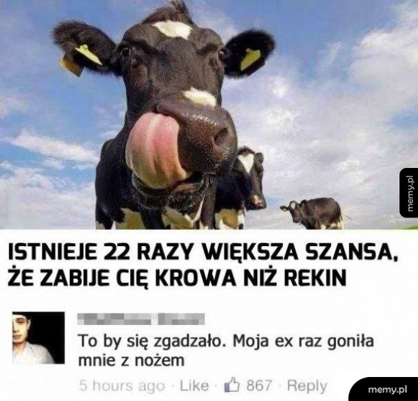 Statystyki nie kłamią