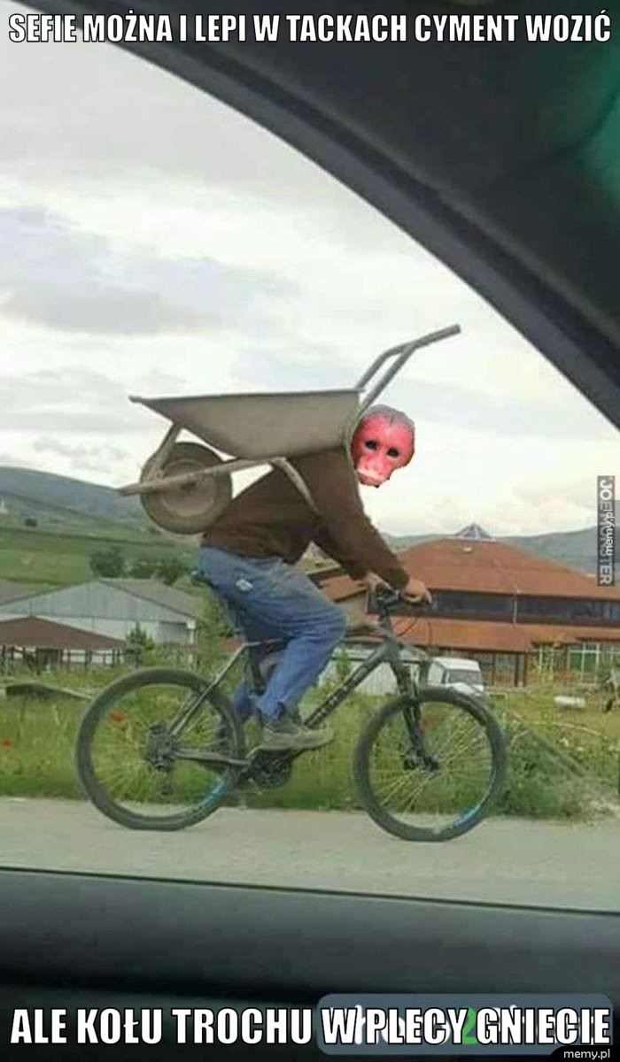 Sefie można i lepi w tackach cyment wozić ale kołu trochu w plecy gniecie