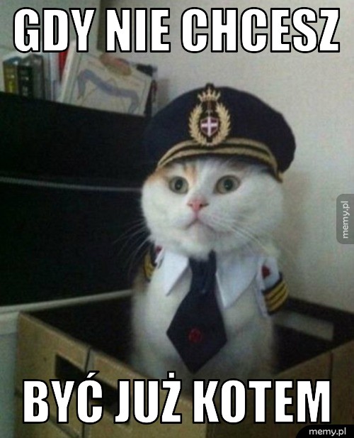 Gdy nie chcesz  Być już kotem