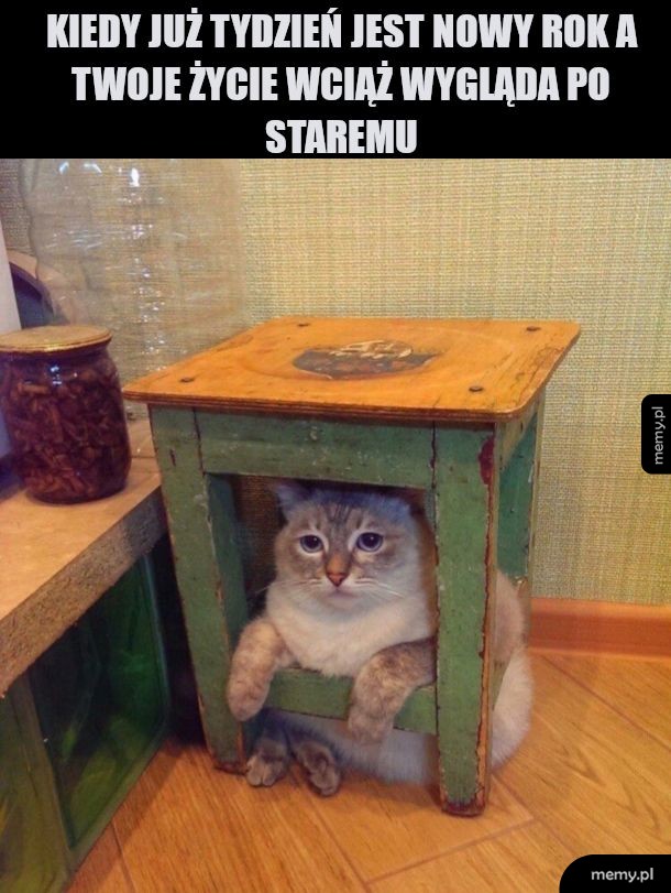 Nowa ja