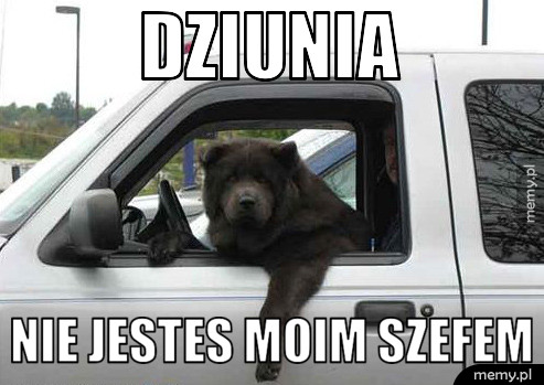 Dziunia nie jestes moim szefem