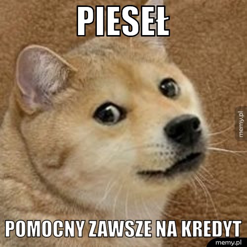 Pieseł pomocny zawsze na kredyt