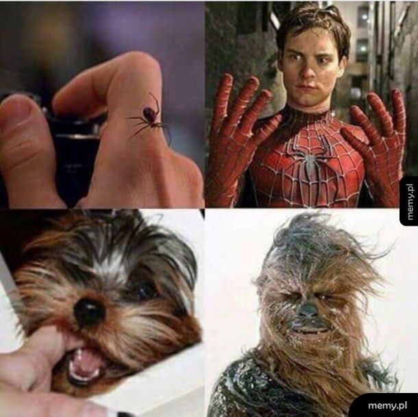 Człowiek czubaka