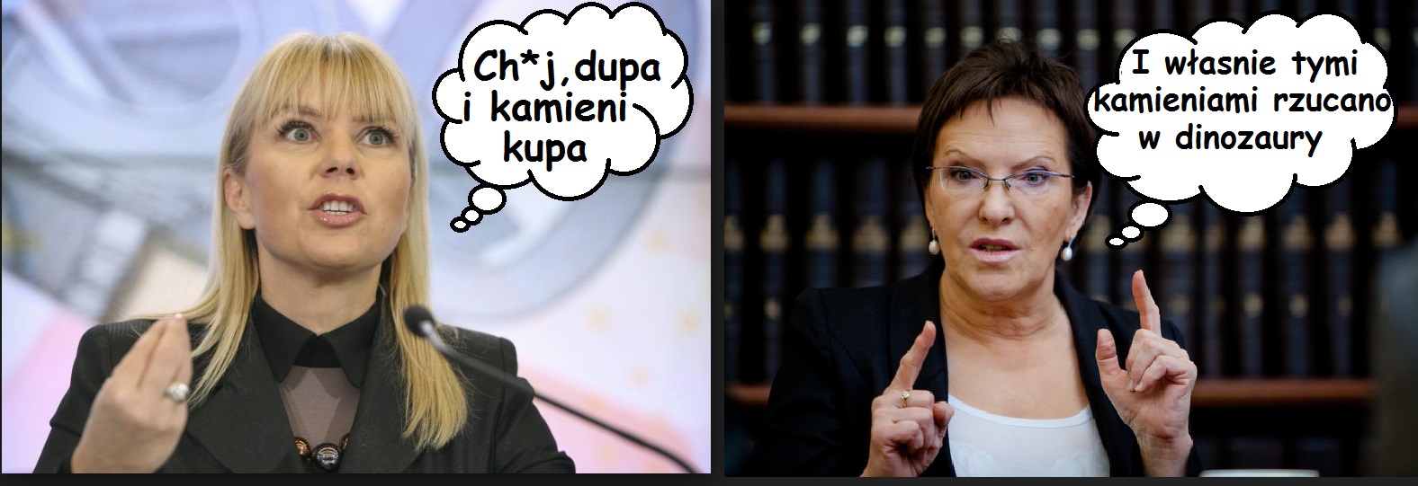Dinozaury Kopaczowej