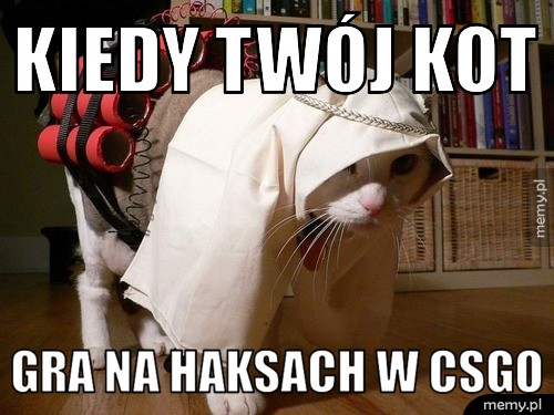Tak się gra w cs'a