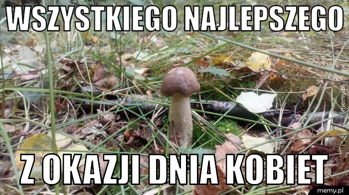 Wszystkiego najlepszego z okazji dnia kobiet