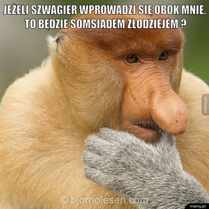 Jeżeli szwagier wprowadzi się obok mnie, to będzie somsiadem złodziejem ?