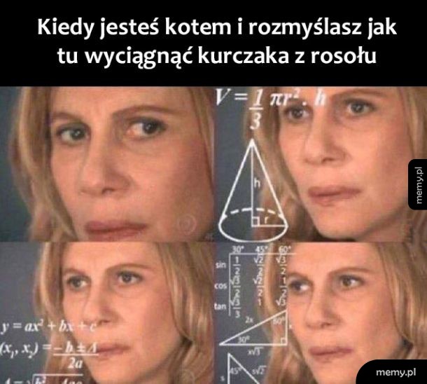 Koty tak mają