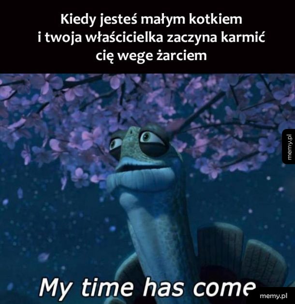 Zerowe szanse