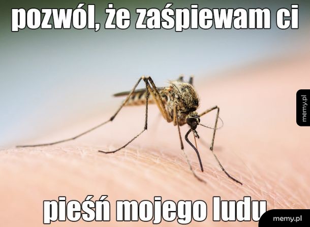 Posłuchaj mojej kołysanki