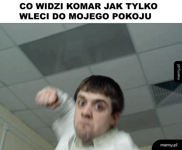 Komar