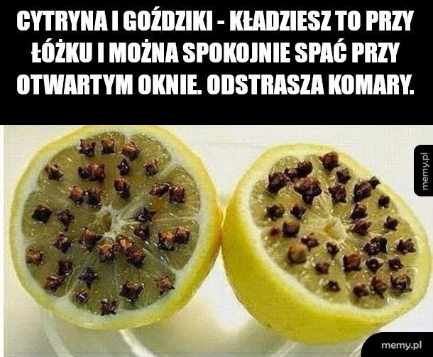 Protip