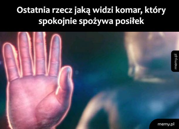 Posiłek