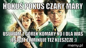 Hokus Pokus Czary Mary  Usuwam z Górek Komary No i dla Was jeszcze eliminuje też kleszcze ;)