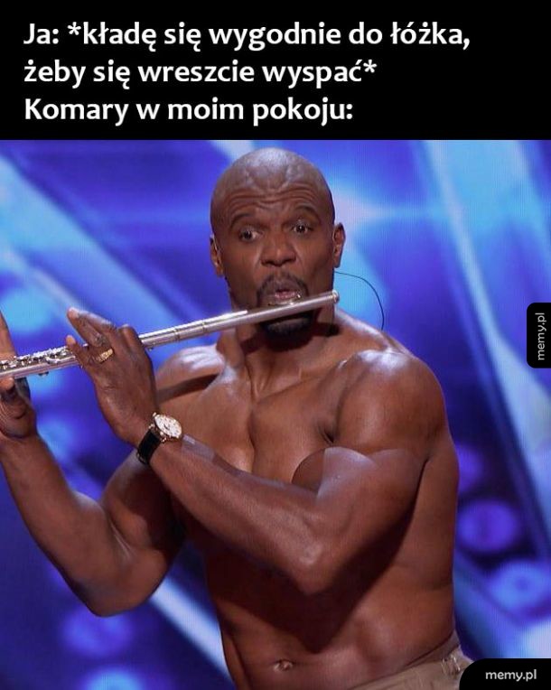 Komary