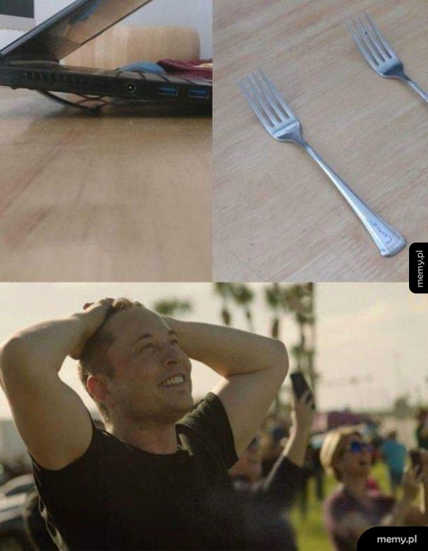 Elon