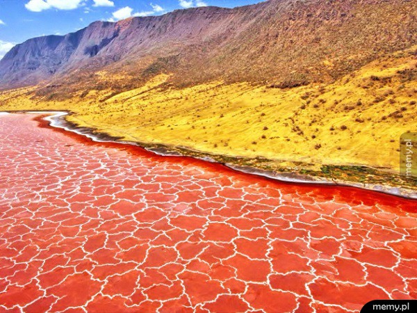 Jezioro Natron, Tanzania