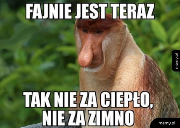 Nie za ciepło, nie za zimno